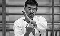 Kancho Nobuaki Kanazawa w Reha Clinic, zdjęcie: 4